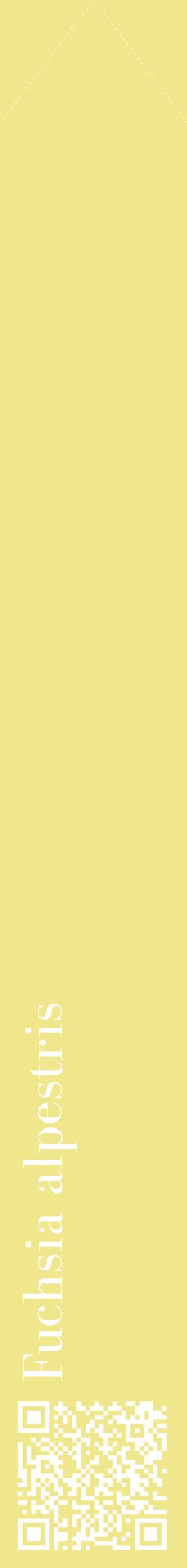 Étiquette de : Fuchsia alpestris - format c - style blanche20_simplebod avec qrcode et comestibilité