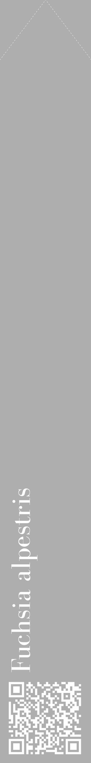 Étiquette de : Fuchsia alpestris - format c - style blanche53_simple_simplebod avec qrcode et comestibilité - position verticale