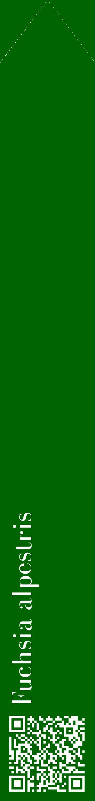 Étiquette de : Fuchsia alpestris - format c - style blanche8_simplebod avec qrcode et comestibilité
