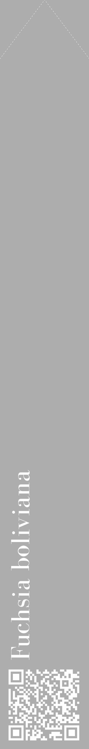 Étiquette de : Fuchsia boliviana - format c - style blanche22_simple_simplebod avec qrcode et comestibilité - position verticale
