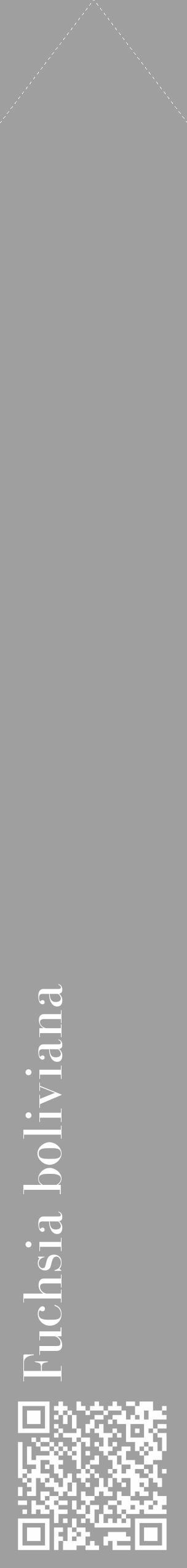 Étiquette de : Fuchsia boliviana - format c - style blanche24_simple_simplebod avec qrcode et comestibilité - position verticale