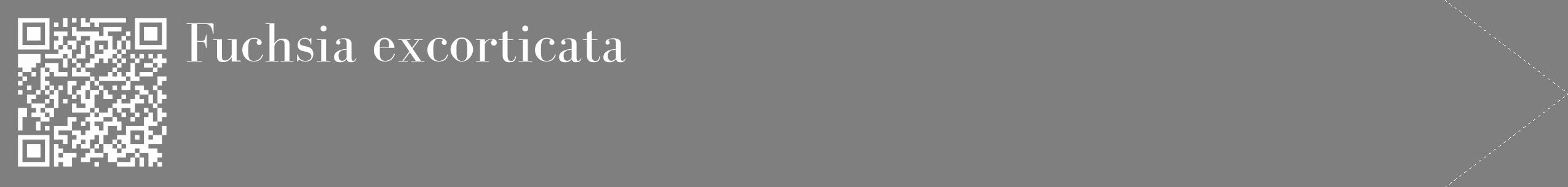 Étiquette de : Fuchsia excorticata - format c - style blanche31_simple_simplebod avec qrcode et comestibilité