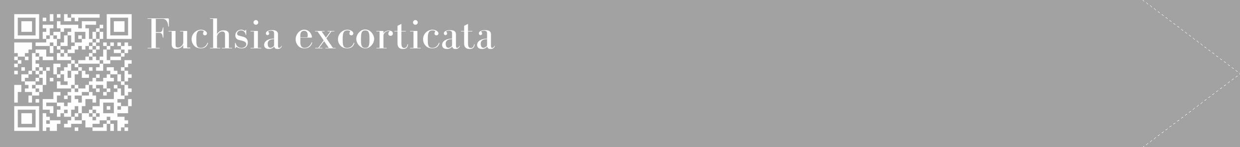 Étiquette de : Fuchsia excorticata - format c - style blanche38_simple_simplebod avec qrcode et comestibilité