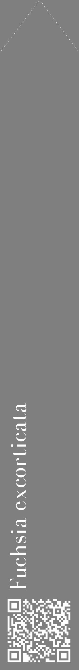 Étiquette de : Fuchsia excorticata - format c - style blanche31_simple_simplebod avec qrcode et comestibilité - position verticale