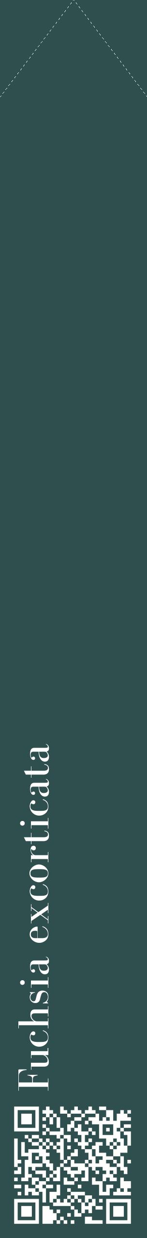 Étiquette de : Fuchsia excorticata - format c - style blanche58_simplebod avec qrcode et comestibilité