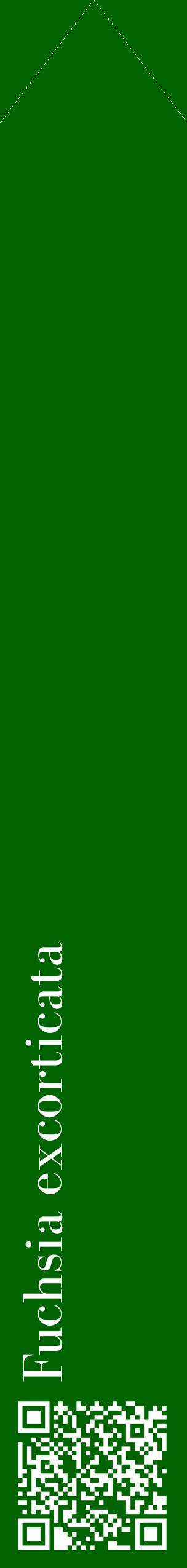 Étiquette de : Fuchsia excorticata - format c - style blanche8_simplebod avec qrcode et comestibilité