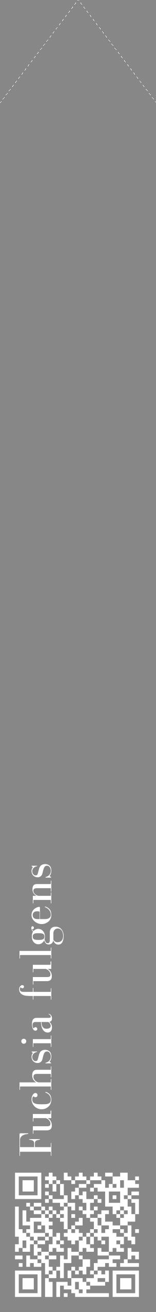 Étiquette de : Fuchsia fulgens - format c - style blanche12_simple_simplebod avec qrcode et comestibilité - position verticale