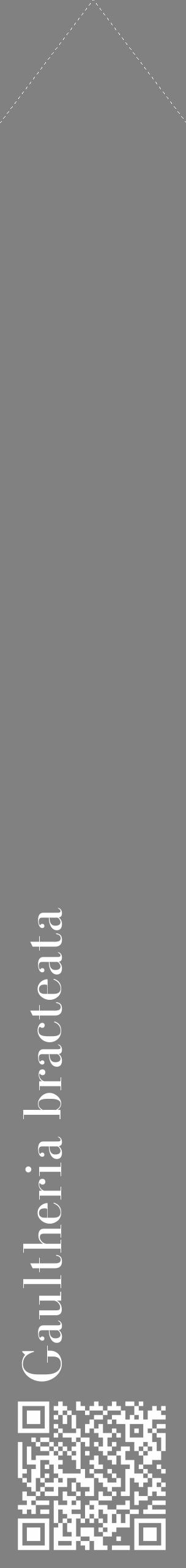 Étiquette de : Gaultheria bracteata - format c - style blanche50_simple_simplebod avec qrcode et comestibilité - position verticale