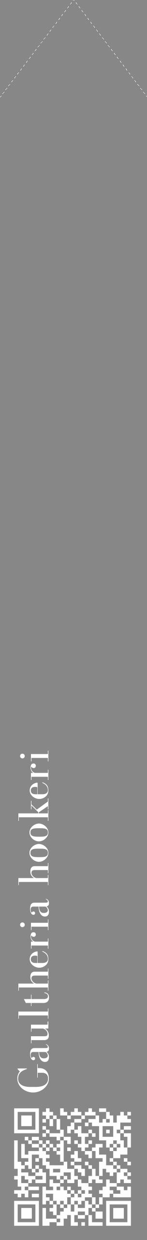 Étiquette de : Gaultheria hookeri - format c - style blanche12_simple_simplebod avec qrcode et comestibilité - position verticale