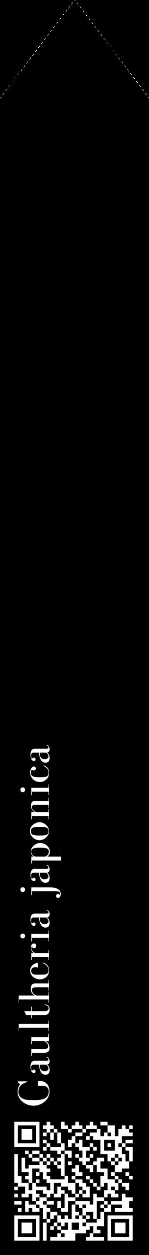 Étiquette de : Gaultheria japonica - format c - style blanche59_simple_simplebod avec qrcode et comestibilité - position verticale