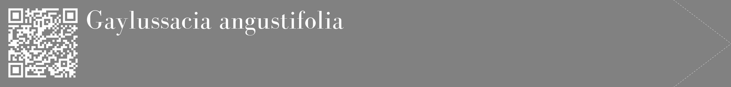 Étiquette de : Gaylussacia angustifolia - format c - style blanche50_simple_simplebod avec qrcode et comestibilité