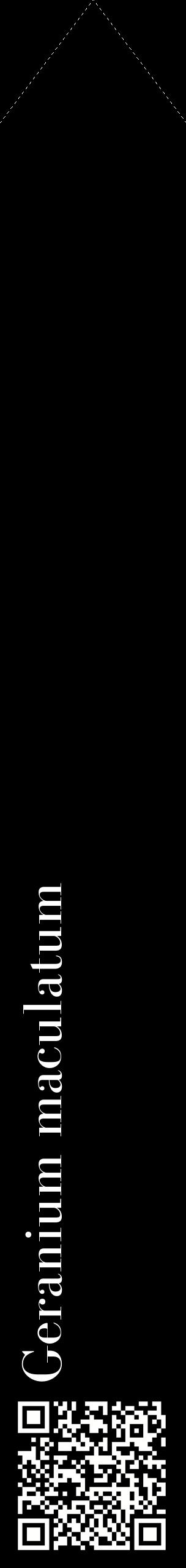 Étiquette de : Geranium maculatum - format c - style blanche59_simplebod avec qrcode et comestibilité