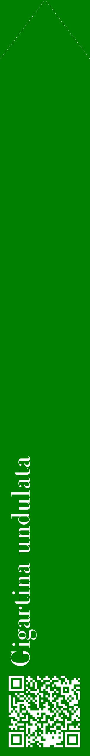 Étiquette de : Gigartina undulata - format c - style blanche9_simplebod avec qrcode et comestibilité