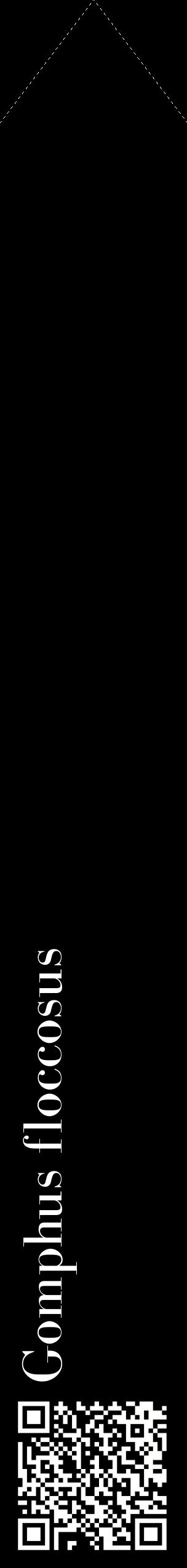 Étiquette de : Gomphus floccosus - format c - style blanche59_simplebod avec qrcode et comestibilité