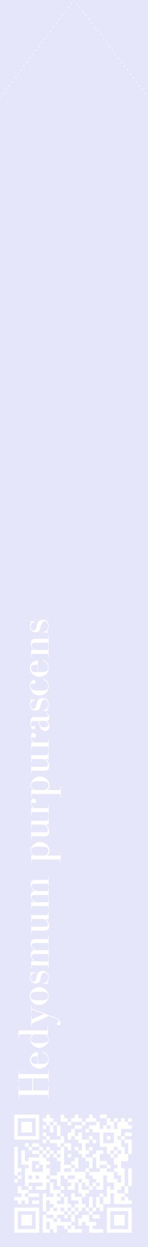 Étiquette de : Hedyosmum purpurascens - format c - style blanche55_simplebod avec qrcode et comestibilité