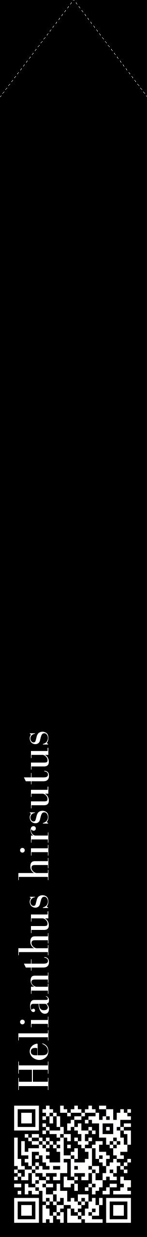 Étiquette de : Helianthus hirsutus - format c - style blanche59_simplebod avec qrcode et comestibilité