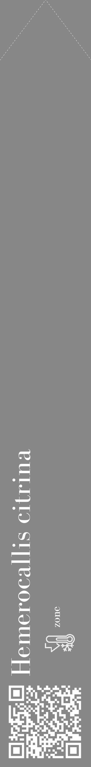 Étiquette de : Hemerocallis citrina - format c - style blanche12_simple_simplebod avec qrcode et comestibilité - position verticale