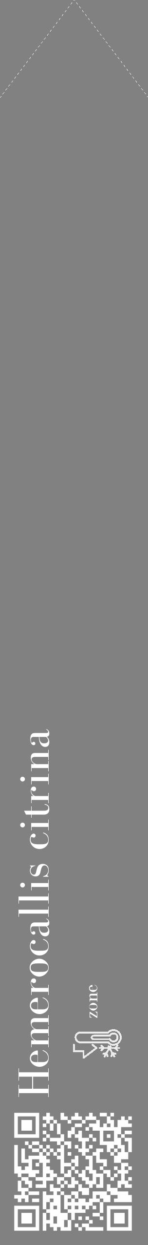 Étiquette de : Hemerocallis citrina - format c - style blanche50_simple_simplebod avec qrcode et comestibilité - position verticale