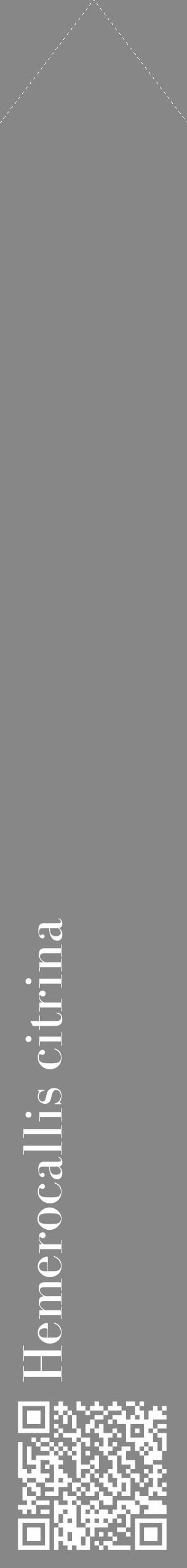 Étiquette de : Hemerocallis citrina - format c - style blanche12_simple_simplebod avec qrcode et comestibilité - position verticale