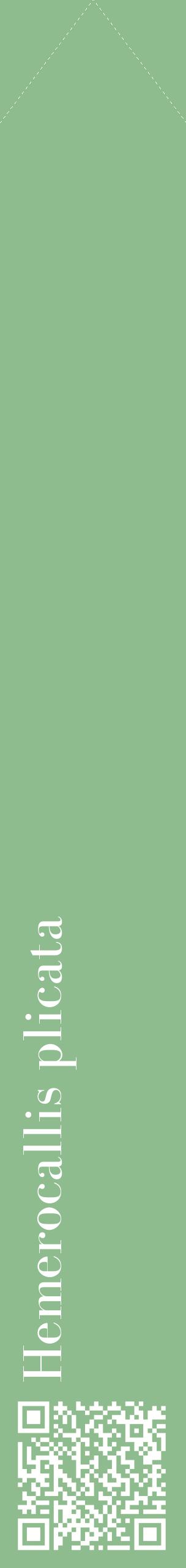 Étiquette de : Hemerocallis plicata - format c - style blanche13_simplebod avec qrcode et comestibilité