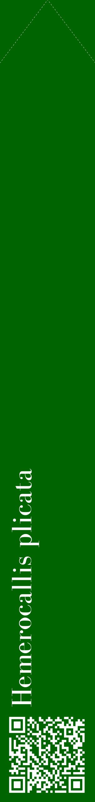Étiquette de : Hemerocallis plicata - format c - style blanche8_simplebod avec qrcode et comestibilité