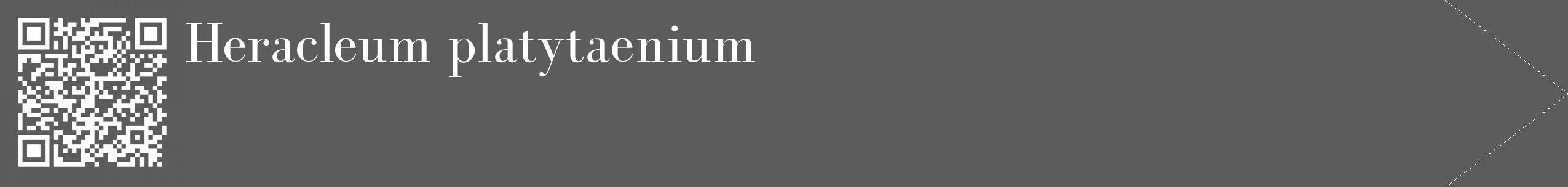 Étiquette de : Heracleum platytaenium - format c - style blanche49_simple_simplebod avec qrcode et comestibilité
