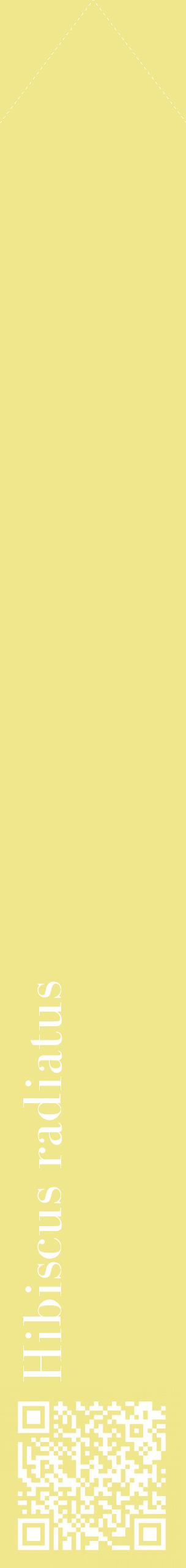 Étiquette de : Hibiscus radiatus - format c - style blanche20_simplebod avec qrcode et comestibilité