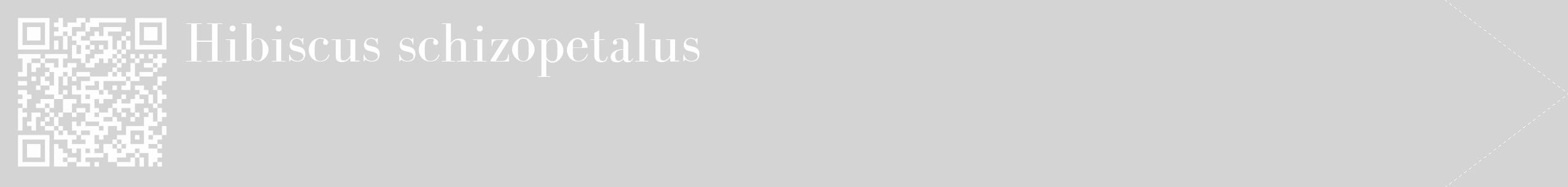 Étiquette de : Hibiscus schizopetalus - format c - style blanche40_simple_simplebod avec qrcode et comestibilité