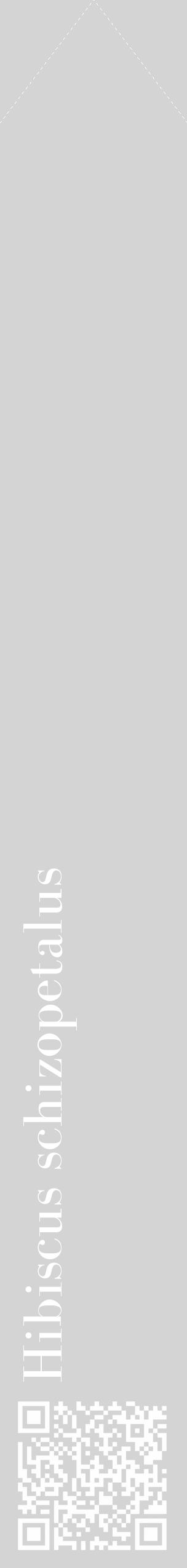 Étiquette de : Hibiscus schizopetalus - format c - style blanche40_simple_simplebod avec qrcode et comestibilité - position verticale