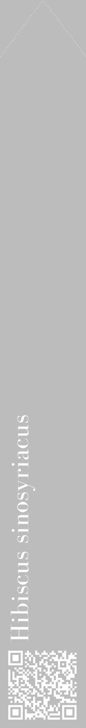 Étiquette de : Hibiscus sinosyriacus - format c - style blanche1_simple_simplebod avec qrcode et comestibilité - position verticale