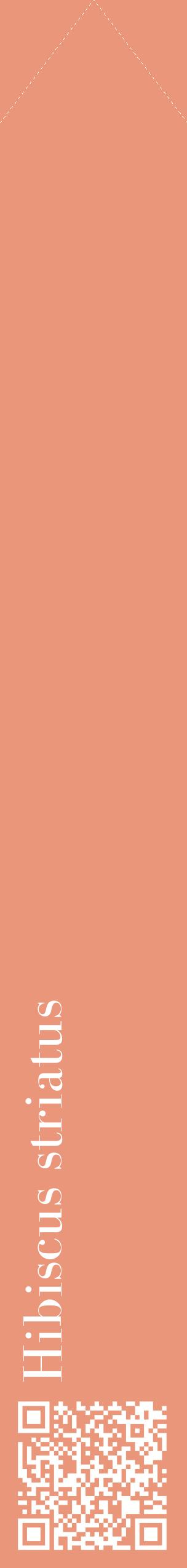Étiquette de : Hibiscus striatus - format c - style blanche37_simplebod avec qrcode et comestibilité
