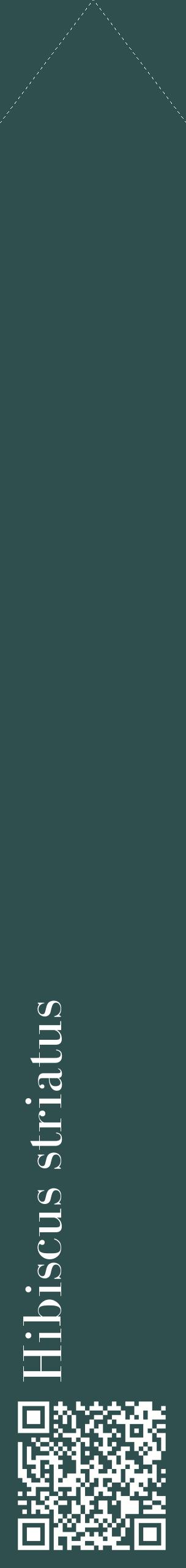 Étiquette de : Hibiscus striatus - format c - style blanche58_simplebod avec qrcode et comestibilité