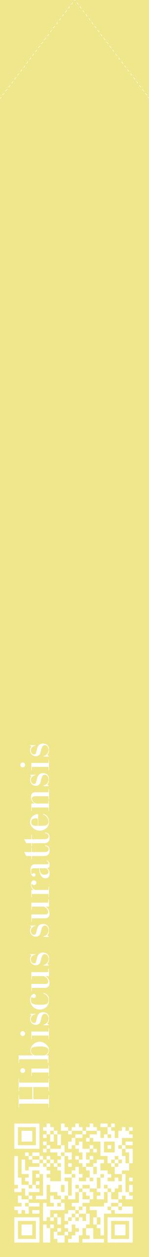 Étiquette de : Hibiscus surattensis - format c - style blanche20_simplebod avec qrcode et comestibilité