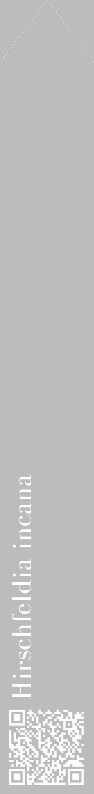 Étiquette de : Hirschfeldia incana - format c - style blanche1_simple_simplebod avec qrcode et comestibilité - position verticale