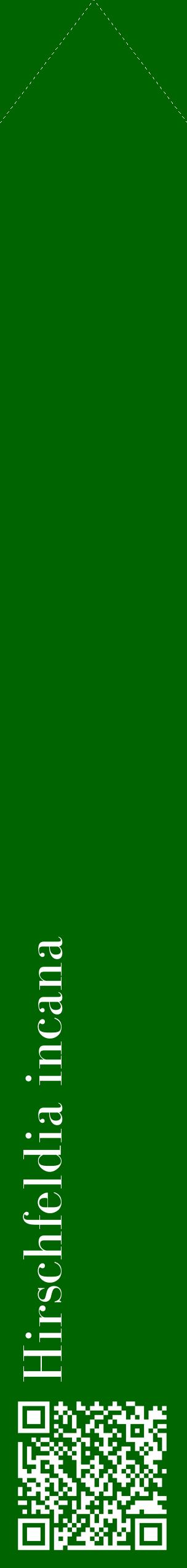 Étiquette de : Hirschfeldia incana - format c - style blanche8_simplebod avec qrcode et comestibilité