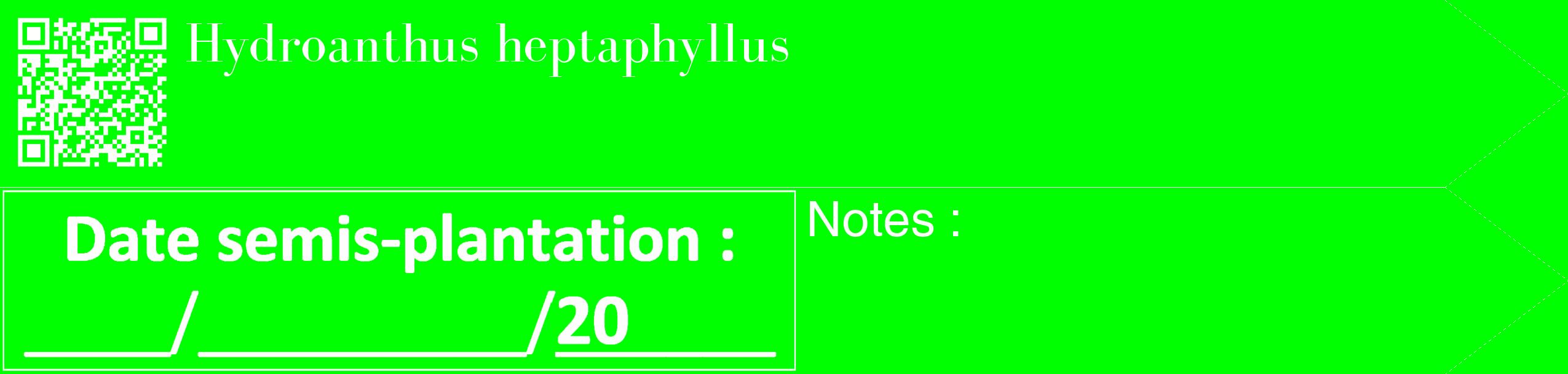 Étiquette de : Hydroanthus heptaphyllus - format c - style blanche16_simple_simplebod avec qrcode et comestibilité