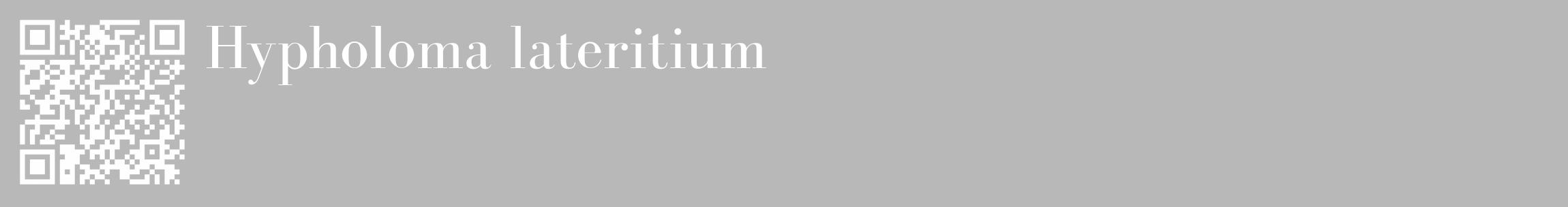Étiquette de : Hypholoma lateritium - format c - style blanche39_basique_basiquebod avec qrcode et comestibilité