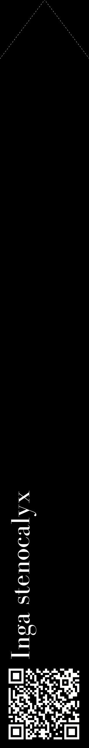 Étiquette de : Inga stenocalyx - format c - style blanche59_simplebod avec qrcode et comestibilité