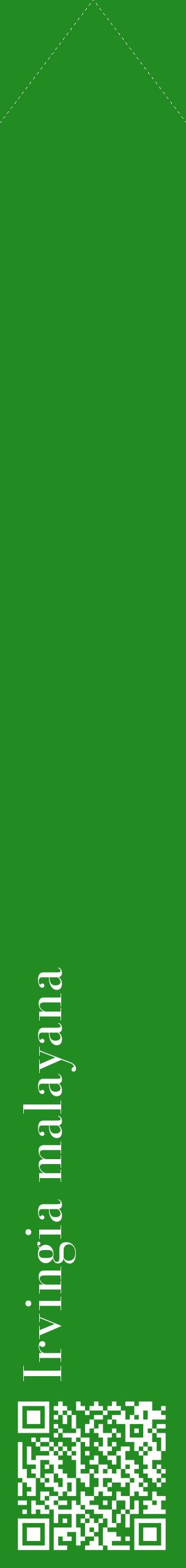 Étiquette de : Irvingia malayana - format c - style blanche10_simplebod avec qrcode et comestibilité