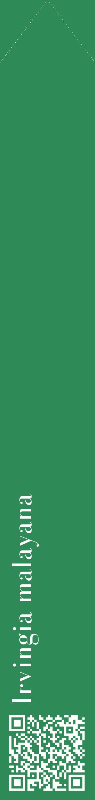 Étiquette de : Irvingia malayana - format c - style blanche11_simplebod avec qrcode et comestibilité