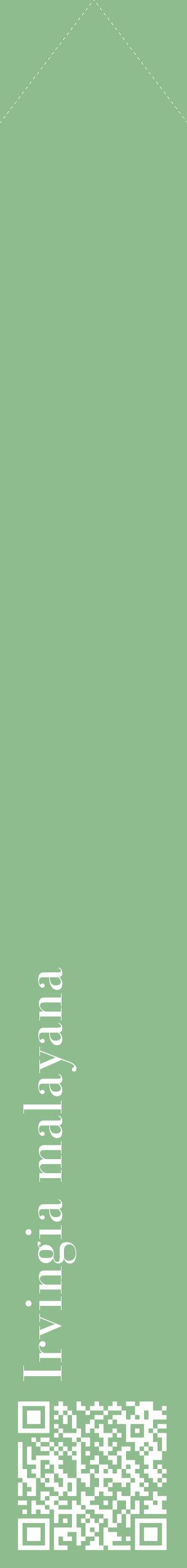 Étiquette de : Irvingia malayana - format c - style blanche13_simplebod avec qrcode et comestibilité