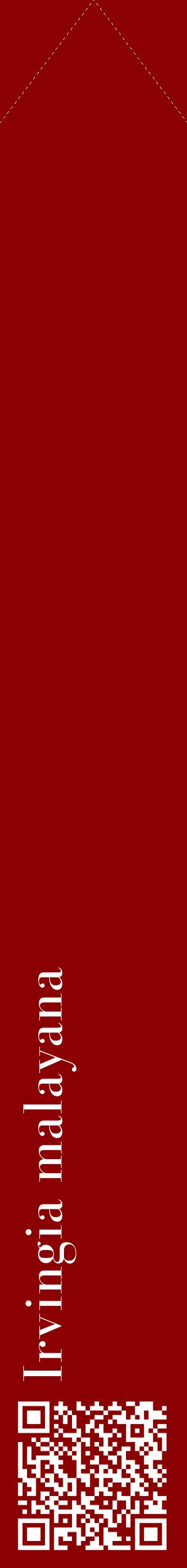 Étiquette de : Irvingia malayana - format c - style blanche34_simplebod avec qrcode et comestibilité