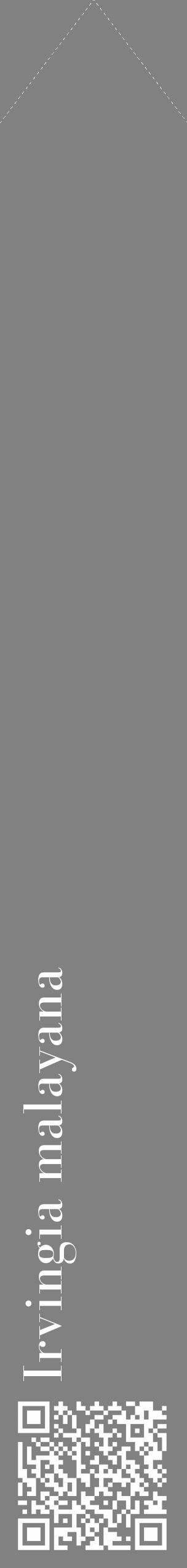 Étiquette de : Irvingia malayana - format c - style blanche50_simple_simplebod avec qrcode et comestibilité - position verticale