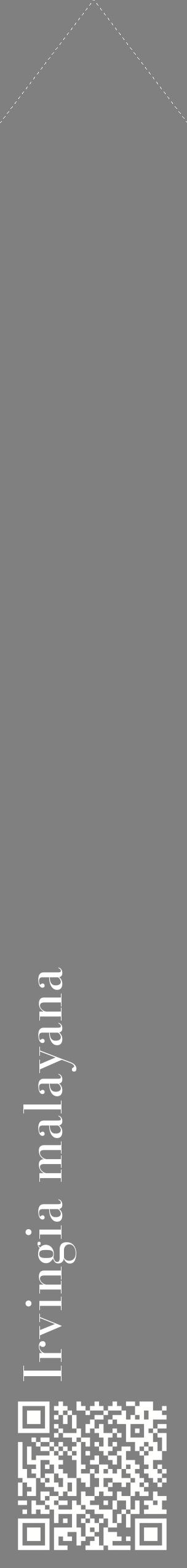 Étiquette de : Irvingia malayana - format c - style blanche57_simplebod avec qrcode et comestibilité