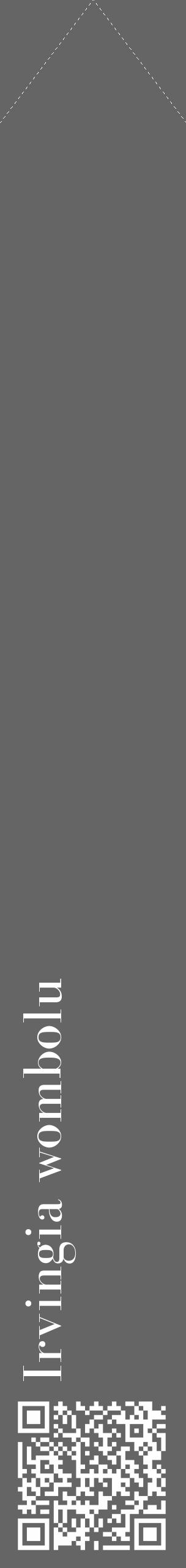 Étiquette de : Irvingia wombolu - format c - style blanche32_simple_simplebod avec qrcode et comestibilité - position verticale