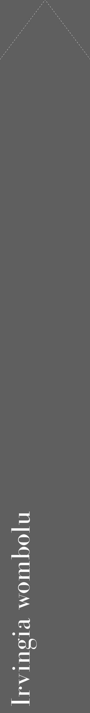 Étiquette de : Irvingia wombolu - format c - style blanche10_simple_simplebod avec comestibilité - position verticale