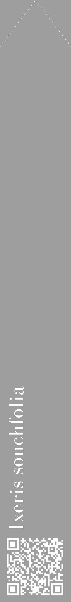 Étiquette de : Ixeris sonchfolia - format c - style blanche42_simple_simplebod avec qrcode et comestibilité - position verticale