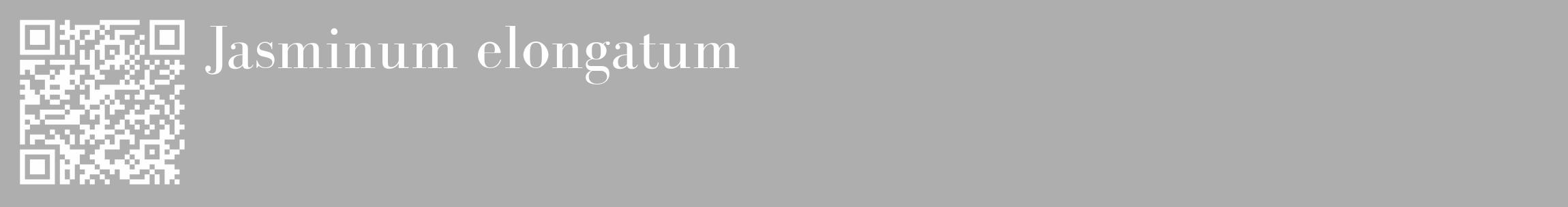 Étiquette de : Jasminum elongatum - format c - style blanche53_basique_basiquebod avec qrcode et comestibilité