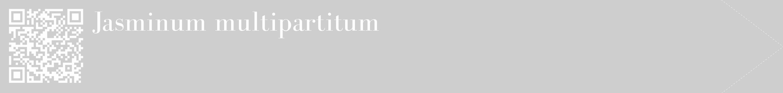 Étiquette de : Jasminum multipartitum - format c - style blanche17_simple_simplebod avec qrcode et comestibilité