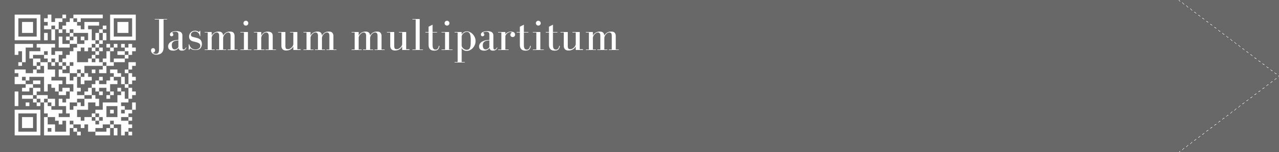 Étiquette de : Jasminum multipartitum - format c - style blanche43_simple_simplebod avec qrcode et comestibilité